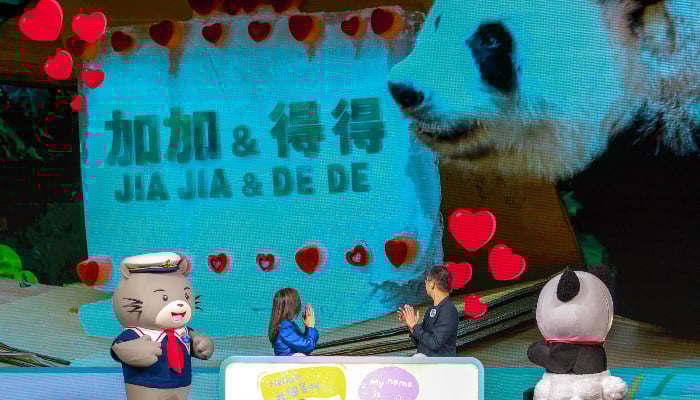 Hong Kong unveils names of first locally born giant pandas