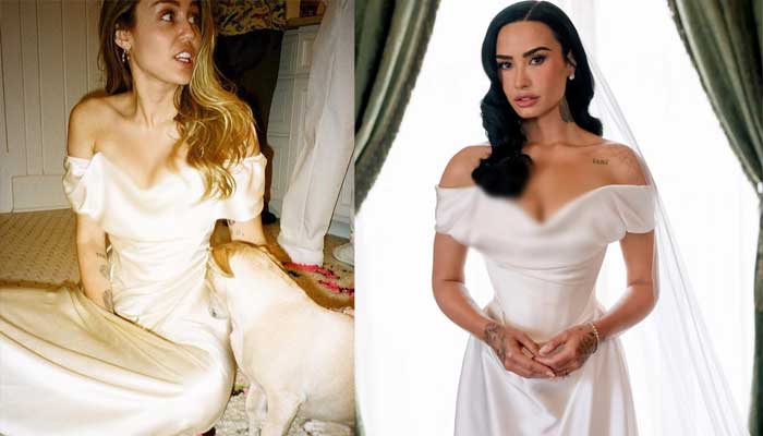 Demi Lovato, Jordan Lutes wedding day niche details come to light