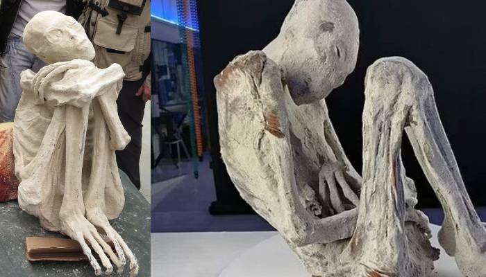 Peru’s alien mummies confirmed real by scientists with shocking evidence