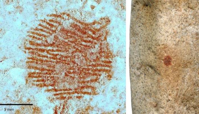 Neanderthal’s 43,000-year-old fingerprint discovered on painted stone