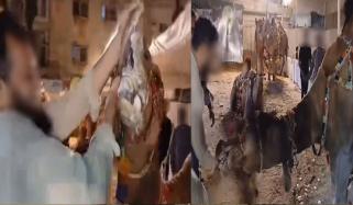 اونٹ نے شہری کا ہاتھ دبوچ لیا