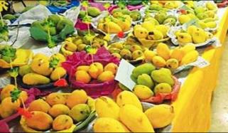میرپور خاص: کاشتکار تنظیم ٹیل آباد گار کا مینگو فیسٹیول کے بائیکاٹ کا اعلان
