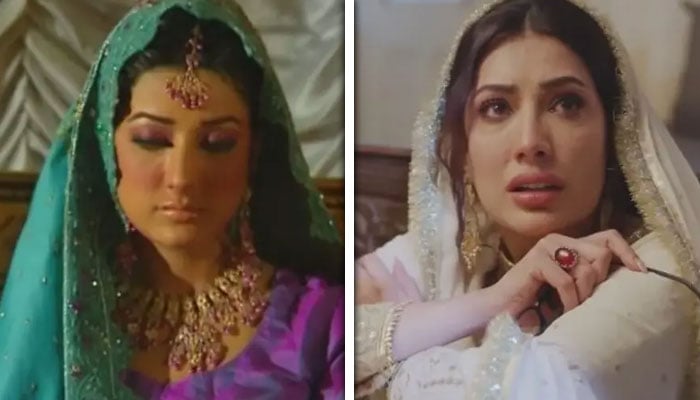 فوٹو بشکریہ سوشل میڈیا