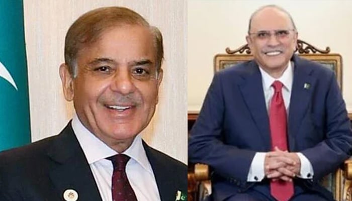 صدرِمملکت آصف زرداری اور وزیرِ اعظم شہباز شریف —فائل فوٹو