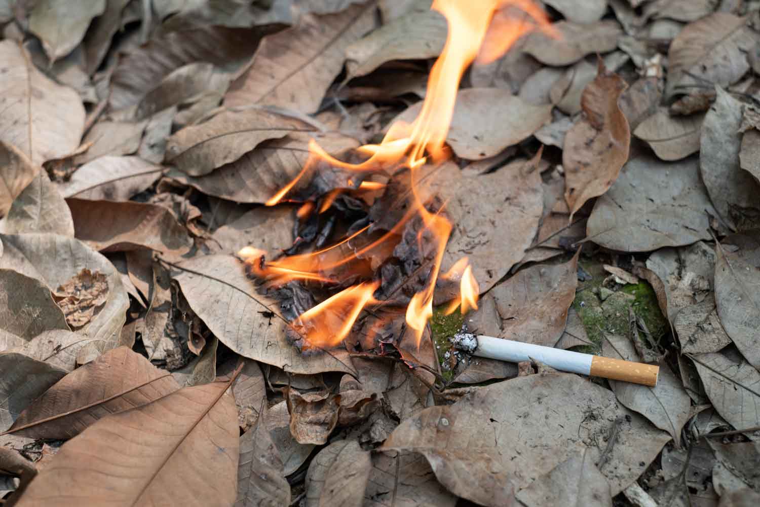 France ban on smoking leaves netizens in stiches: another French revolution?
