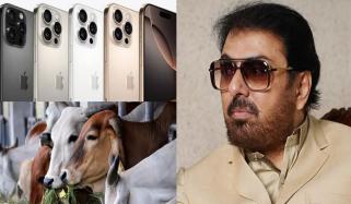 قربانی کے جانور اور آئی فون کا موازنہ، نعمان اعجاز کو شدید تنقید کا سامنا