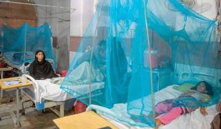 سندھ بھر میں ملیریا کے کیسز میں اضافہ