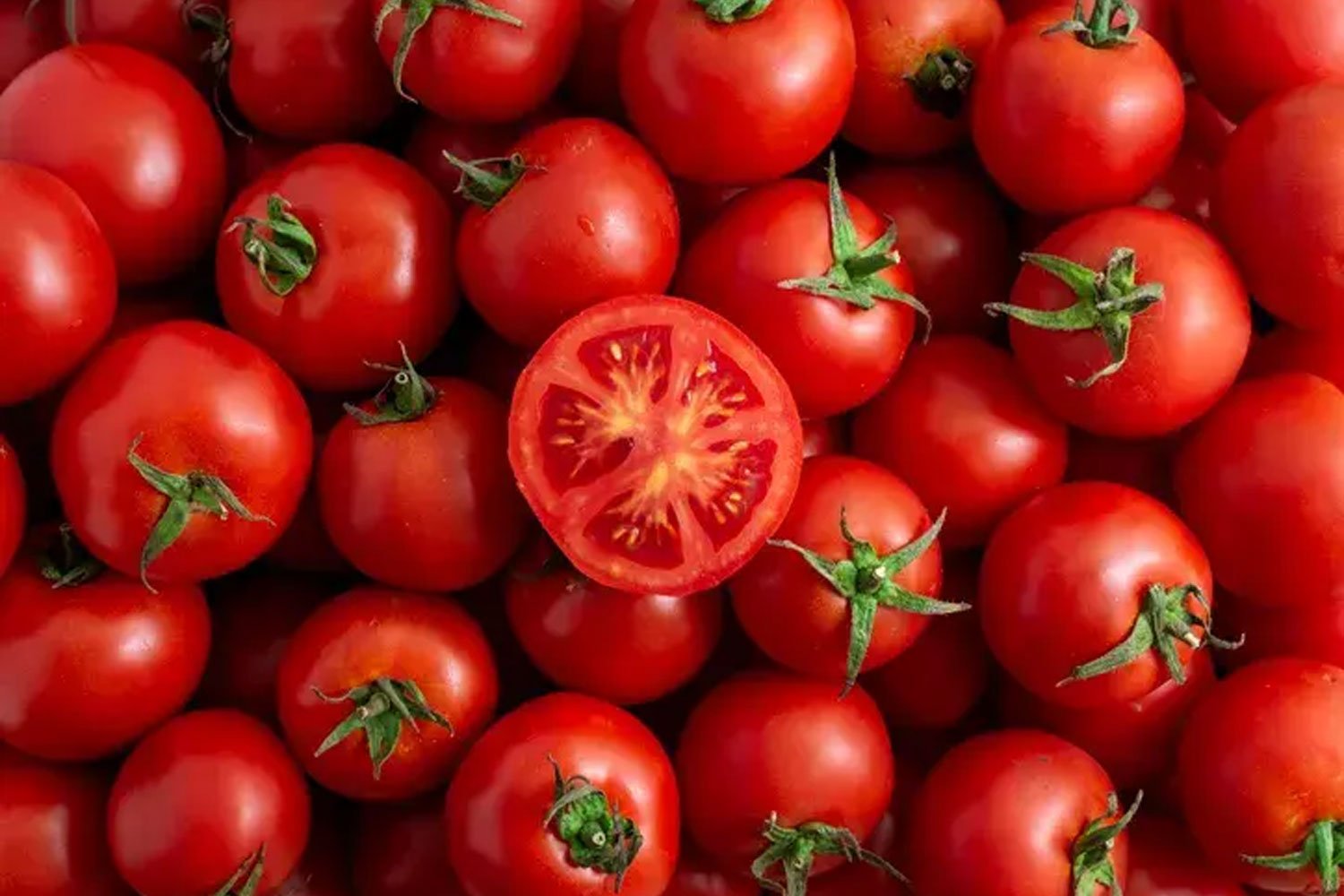 FDA announces recall for deadly tomatoes in southern states due to Salmonella