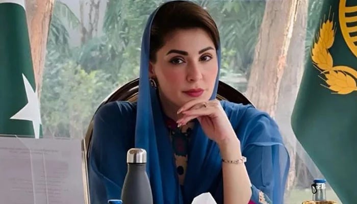 وزیرِ اعلیٰ پنجاب مریم نواز — فائل فوٹو