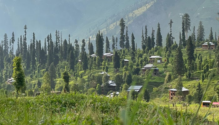 اڑنگ کیل—فائل فوٹو