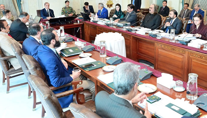 تصویر بشکریہ، وزیراعظم شہباز شریف سوشل میڈیا