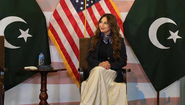 امریکی ناظم الامور نیٹلی بیکر۔ فوٹو سوشل میڈیا