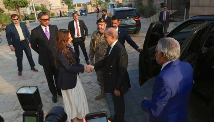 پاک امریکا سیکیورٹی تعاون طویل مدتی شراکت داری کا ستون ہے: نیٹلی بیکر