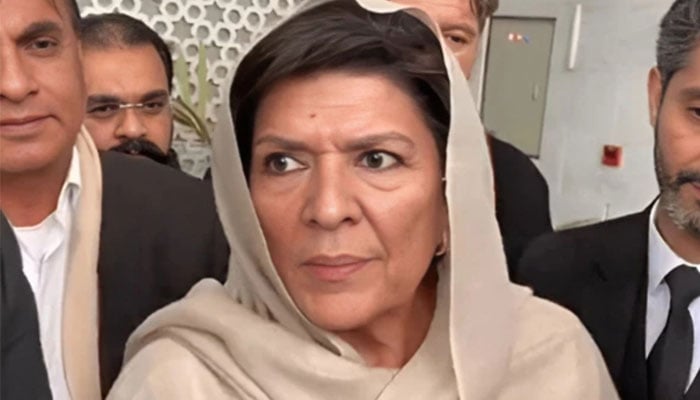 بانی سے کہا جارہا ہے حکومت کو قبول کریں، 9 مئی پر معافی مانگیں، علیمہ خان