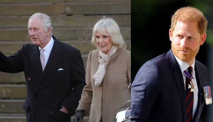 Queen Camilla chooses neutral ground amid King Charles, Prince Harry rift