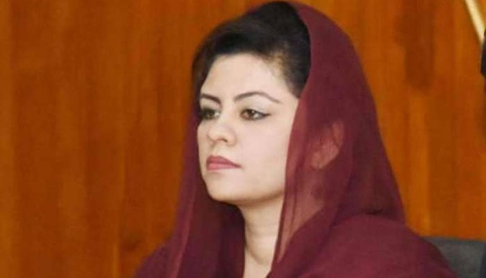کنول شوذب —فائل فوٹو