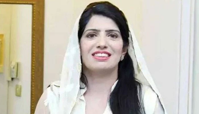 عالیہ حمزہ—فائل فوٹو