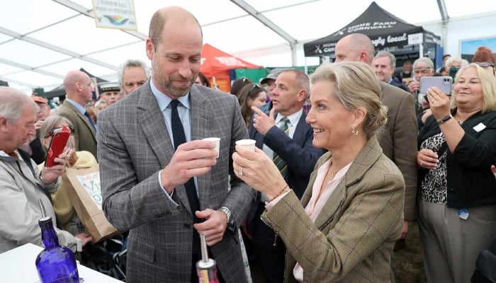 Prince William shares delightful experience with Duchess Sophie at key event