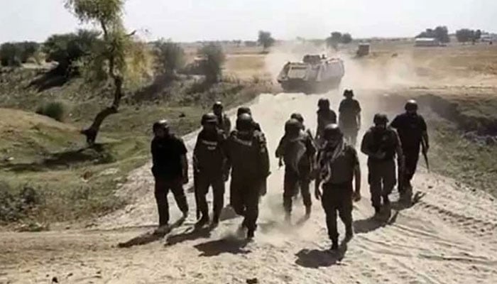 گھوٹکی: کچے میں پولیس کا آپریشن، نوجوان بازیاب، ایس ایس پی