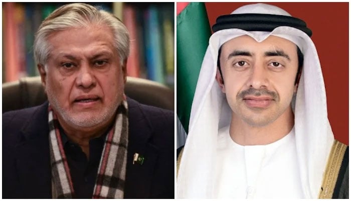 اماراتی وزیرِ خارجہ شیخ عبداللّٰہ بن زایدالنہیان اور اسحاق ڈار —فائل فوٹو