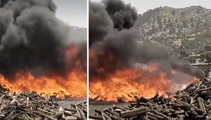 جنوبی وزیرستان لوئر کے علاقے برمل کی راغزائی ٹمبر مارکیٹ میں لگنے والی آگ کا منظر—تصاویر بشکریہ سوشل میڈیا