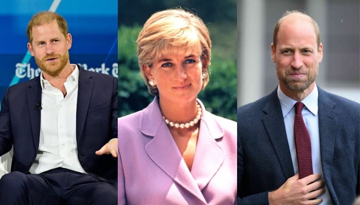 Did Prince William, Harry privately compete for Princess Dianas special  possession?
