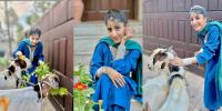 ماورا کی شادی کے بعد پہلی عید، بکروں کیساتھ تصاویر شیئر کردیں، شوہر کیساتھ تصویر کی منتظر