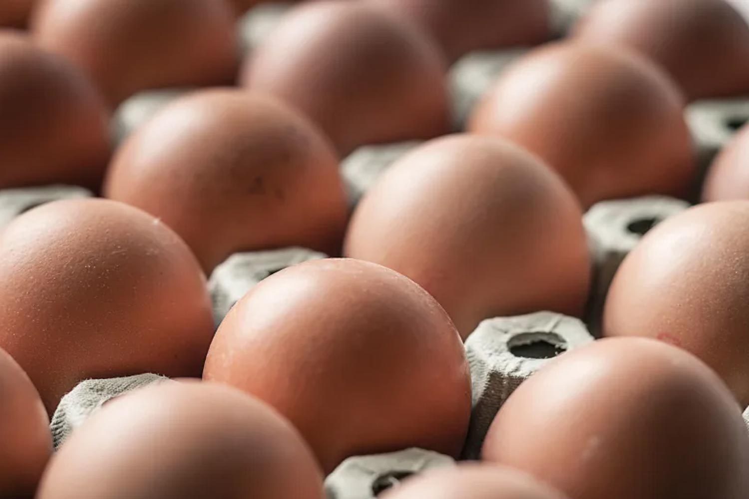 Up to 1.7 million eggs recalled amid Salmonella outbreak, CDC reports