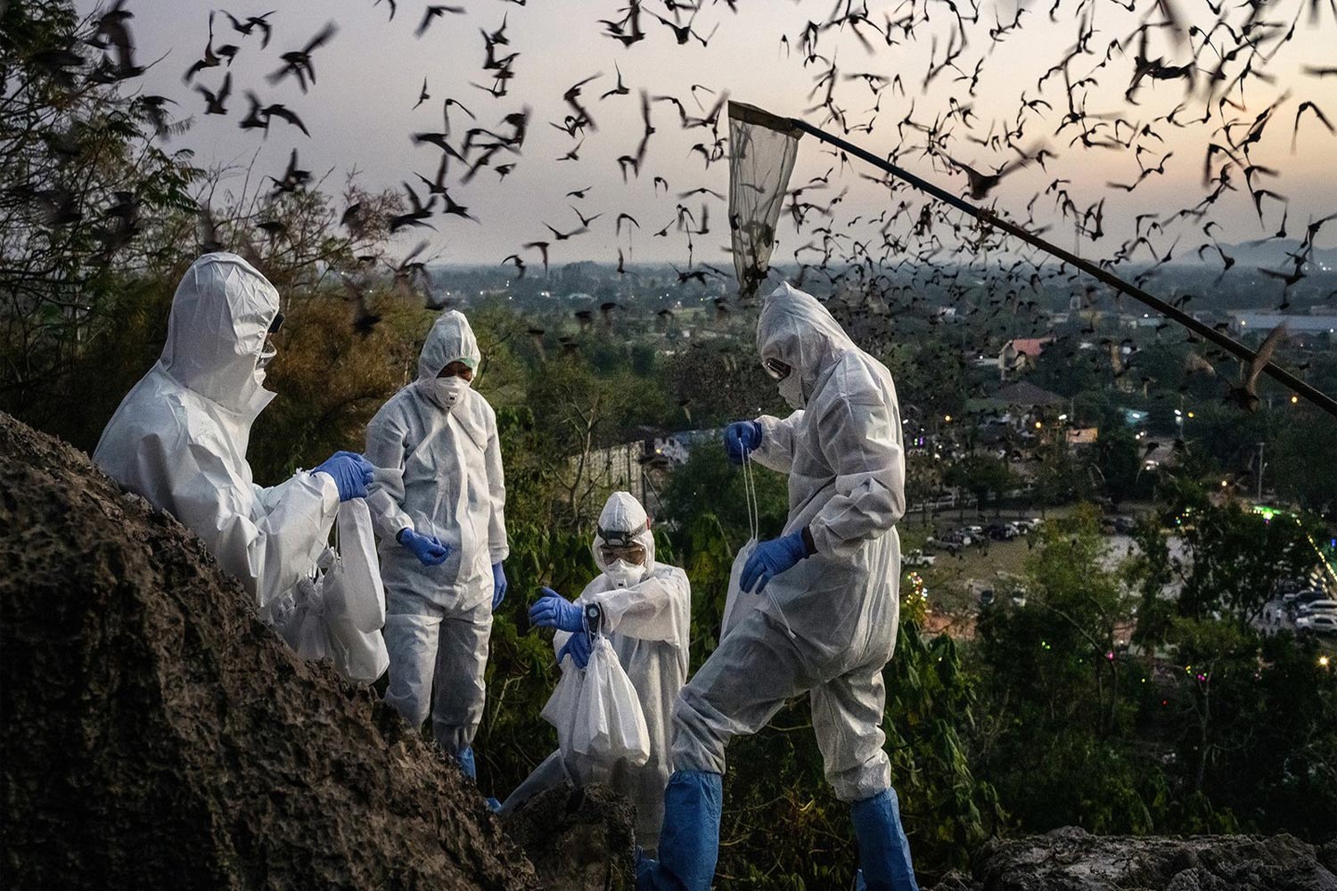 Extreme weather fuels pathogens and disease spread, study