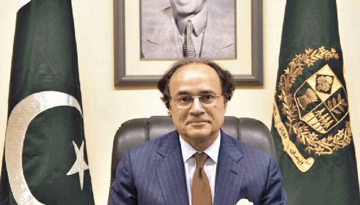 وزیر خزانہ آج اقتصادی سروے پیش کریں گے