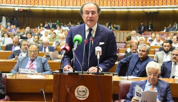 وزیر خزانہ سینیٹر محمد اورنگزیب ۔ فوٹو فائل
