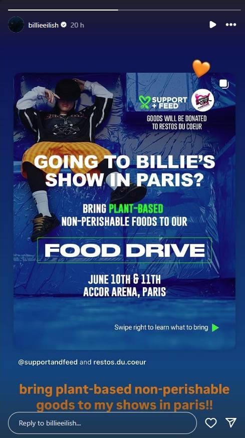 P.C. Instagram/billieeilish