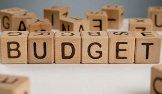 آئندہ بجٹ میں متعدد اشیاء پر ایکسائز ڈیوٹی لگانے کی تجویز