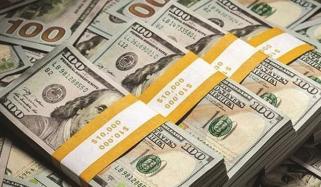 زرِمبادلہ ذخائر 16.875 ارب ڈالرز ہو گئے