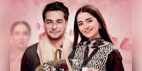 عاصم اظہر کا اپنے اور میرب کے رشتے سے متعلق بڑا اعلان