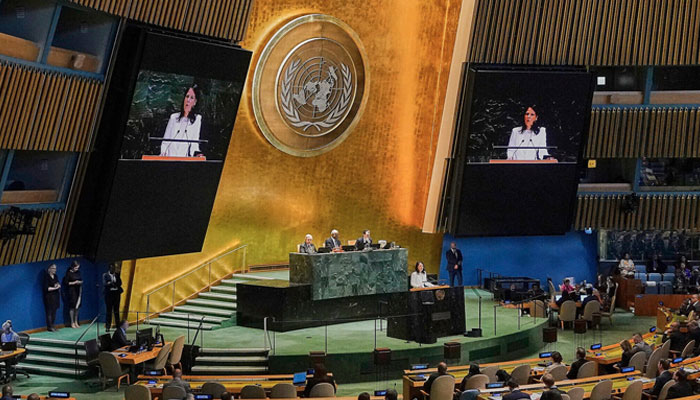 یو این جنرل اسمبلی میں غزہ سے متعلق قرارداد منظور