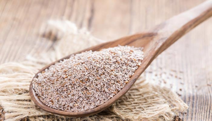 Is Psyllium husk really ‘Nature’s Ozempic’? Here’s what experts say