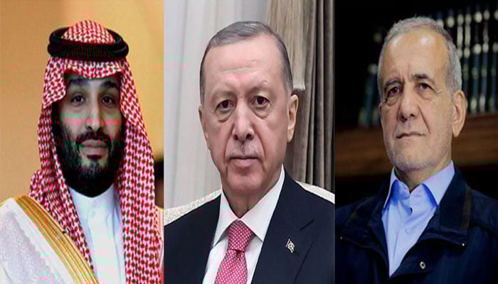 ترک صدر کا ایرانی ہم منصب اور سعودی ولی عہد سے ٹیلیفونک رابطہ