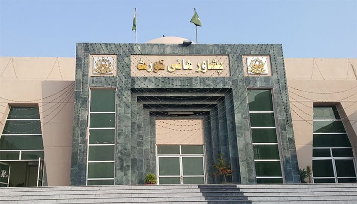 پشاور ہائیکورٹ نے شہریار آفریدی کو دو ہفتوں کی حفاظتی ضمانت دے دی