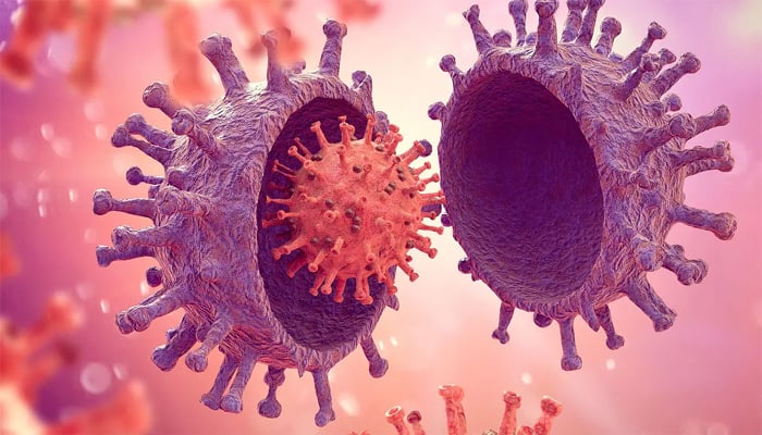 NB.1.8.1, new COVID variant, to make up 1 in 3 cases across US, report
