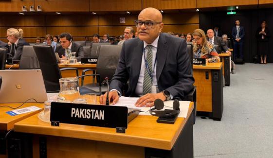 اسرائیلی حملے بین الاقوامی قوانین کی سنگین خلاف ورزی قرار: پاکستان کا اقوامِ متحدہ میں دو ٹوک مؤقف