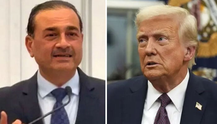 مریکا کے صدر ڈونلڈ ٹرمپ اور پاک فوج کے سربراہ فیلڈ مارشل عاصم منی—فائل فوٹوز