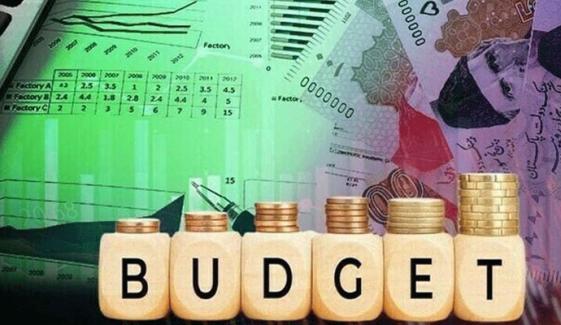 ٹیکس اور قانونی ماہرین کے بجٹ پر سنگین خدشات اور آئینی اعتراضات