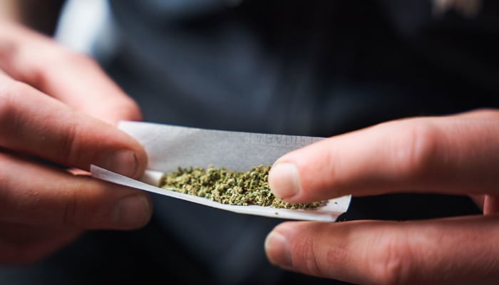 Marijuana may increase the risk of dying from cardiac disease, study