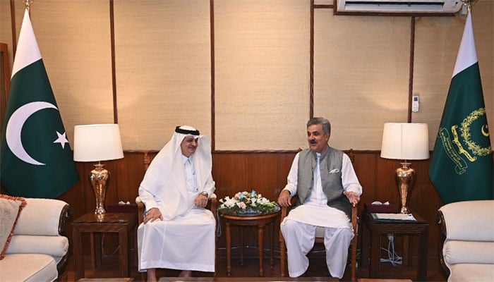 فوٹو: پی آئی ڈی