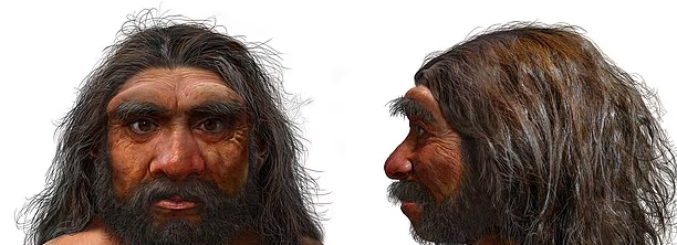 Dragon man’s skull mystery finally solved after 146,000 years