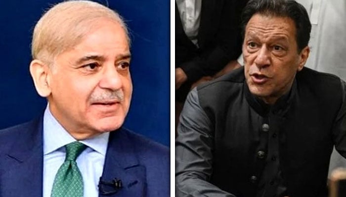 کولاج فوٹو: فائل