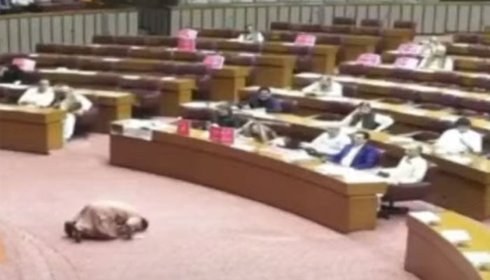 قومی اسمبلی: جمشید دستی کی ناک سے لکیریں نکالنے کی ویڈیو سامنے آگئی