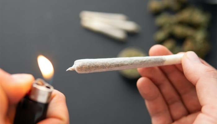 Weed use may double heart disease death risk, study