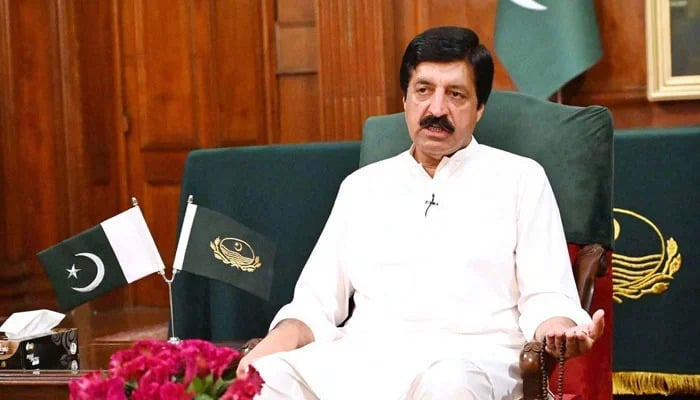 گورنر پنجاب سردار سلیم حیدر خان—فائل فوٹو